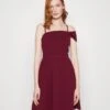 Wal G Roshna Sleeve Skater Dress - Robe De Soirée - Berry Wine