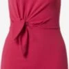 Wal G Robes Fourreaux Robe Fourreau MIKEY Femme Fuchsia