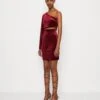 Wal G Valentines Mina Cut Out Mini - Robe De Soirée - Wine