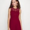 Wal G Accessorie Neck Skater Dress - Robe De Soirée - Wine